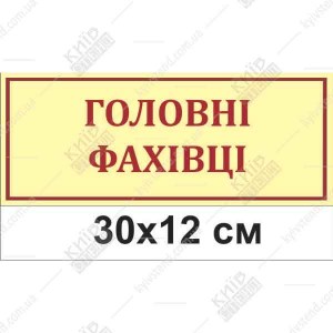 Офісна табличка 30 х 12 см з білого пластику товщиною 3 мм з написом Головні фахівці на дверях службового кабінету.
