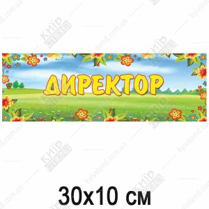 Табличка в дитячий садок Директор (19317)