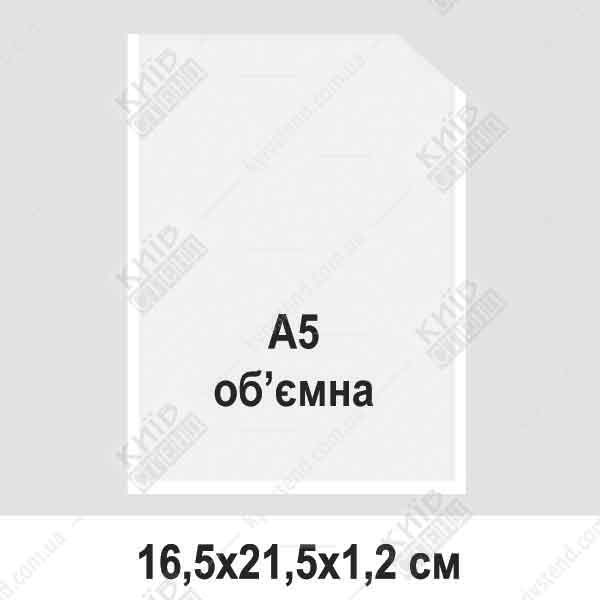 ластикова кишеня А5 обʼємна вертикальна з білою окантовкою з прозорого ПВХ, встановлена на настінному інформаційному стенді в офісному приміщенні.