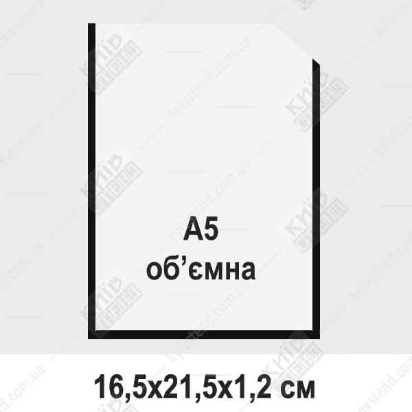 Вертикальна пластикова кишеня А5 з чорною окантовкою з прозорого ПВХ на настінному інформаційному стенді.