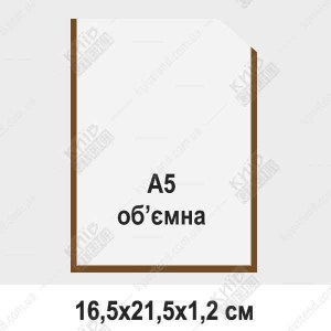 Кишеня A5 вертикальна обємна з прозорого ПВХ з коричневою окантовкою закріплена на стіні з вставленим інформаційним листом.