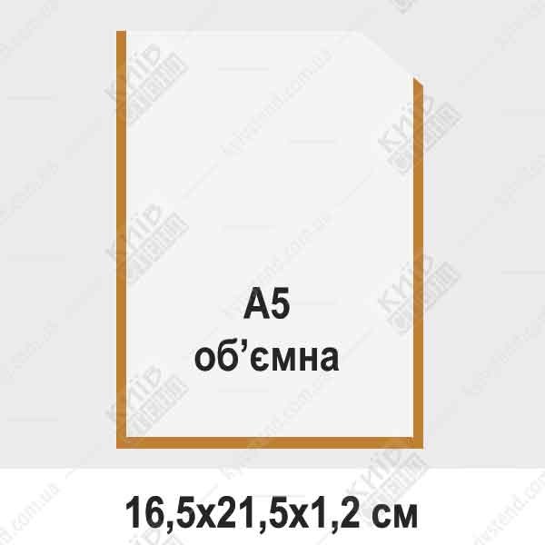 Обʼємна вертикальна кишеня А5 з прозорого пластику на інформаційному стенді у приміщенні