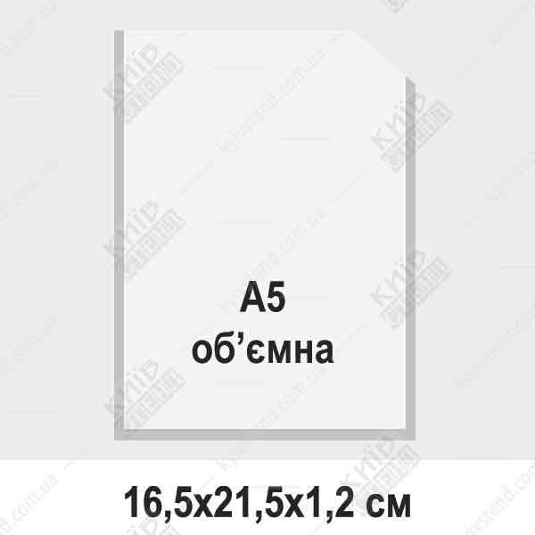 Пластикова кишеня А5 вертикальна з прозорого ПВХ зі срібною окантовкою, закріплена на настінному інформаційному стенді.