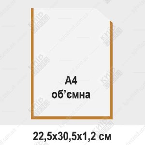 кишеня А4 вертикальна об'ємна золота
